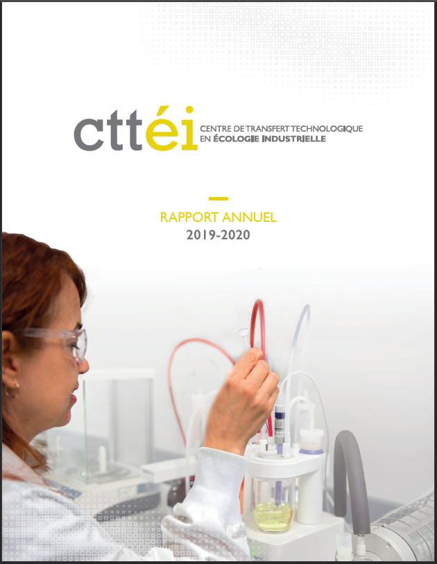 Couverture du Rapport annuel du CTTEI - 2019-2020