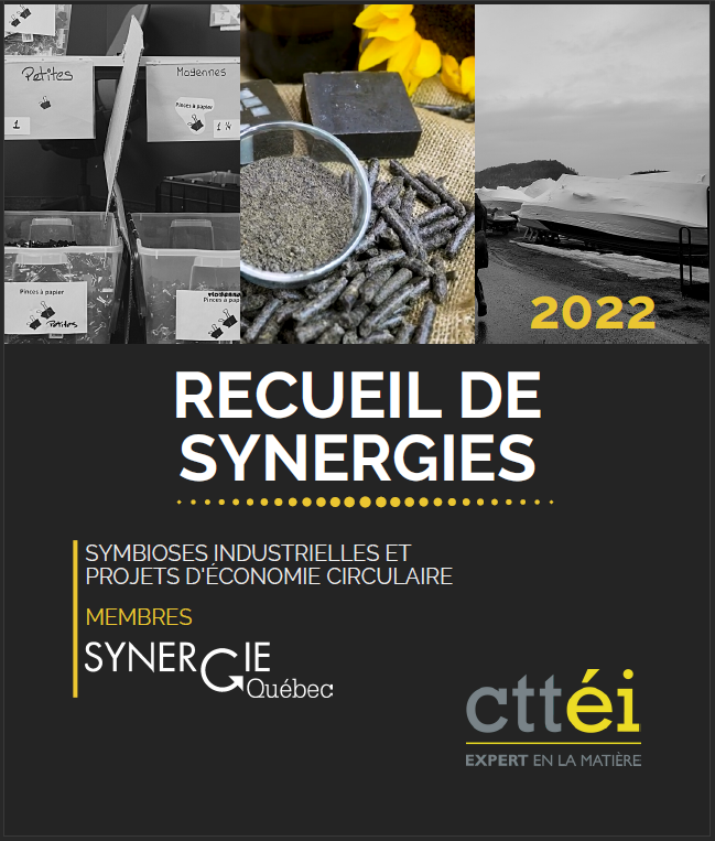 Couverture Recueil de synergies 2022