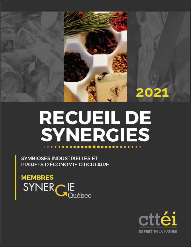 Recueil des synergies 2021