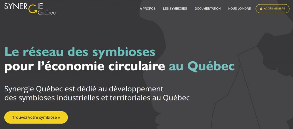 Visual website Synergie Québec