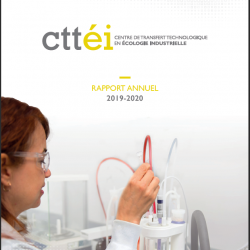 Couverture du Rapport annuel du CTTEI - 2019-2020
