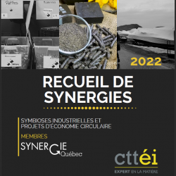 Couverture Recueil de synergies 2022