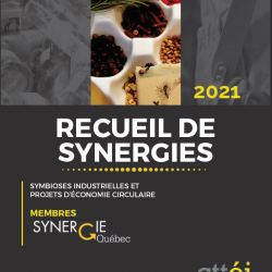 Collection of synergies 2021