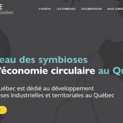 Capture Site Web Synergie Québec